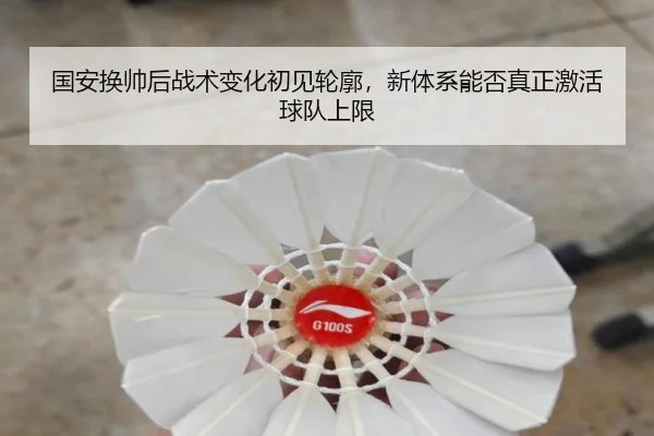 国安换帅后战术变化初见轮廓，新体系能否真正激活球队上限